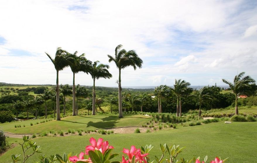 Coconut Grove 1, Luxury Villa By Island Villas Saint James Room photo